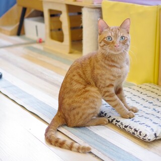 まん丸お顔で食いしん坊なべーぐる君♂