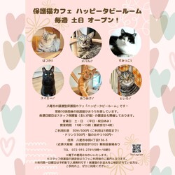 動物病院の保護猫譲渡会 サムネイル1