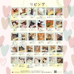 動物病院の保護猫譲渡会 サムネイル2