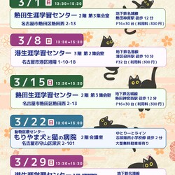 ▼猫の譲渡会▼名古屋市熱田区