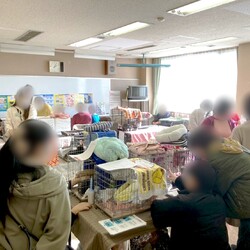 ▼猫の譲渡会▼名古屋市港区 サムネイル3