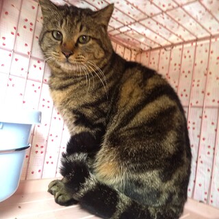 【急募】　2/19に元いた場所にリリース