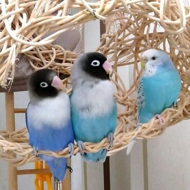 お気に入りの場所