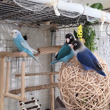 いつもの遊び場で