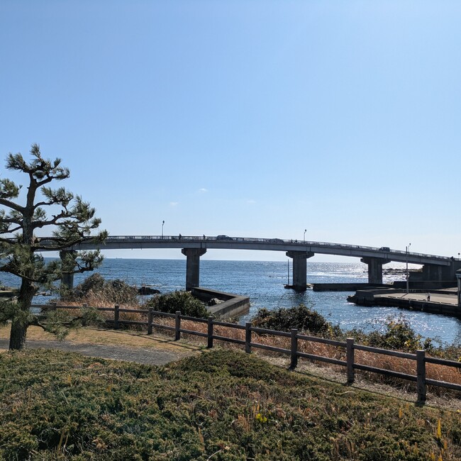 モルラムのカバー写真