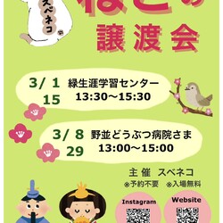 猫の譲渡会 3/15（日）緑生涯学習センターで開催