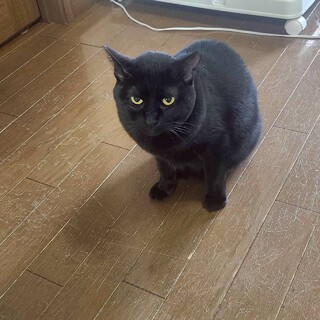 表情豊かな❤︎きよみちゃん