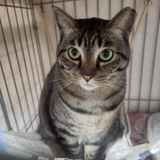 しっかり者のそらちゃん♡