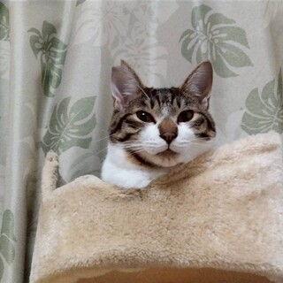 穏やかでのんびりな＊けいくん