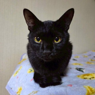 甘えん坊♡しんじくん