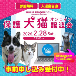 神奈川県動物愛護センターによる保護犬猫のオンライン譲渡会 サムネイル1