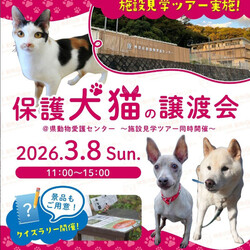 神奈川県動物愛護センター譲渡会のお知らせ