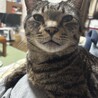れんちゃん