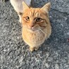 童顔の男の子 サムネイル5