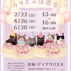 抱っこされ隊、出動中！第9回ウリエル譲渡会