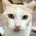 人が大好きスリゴロ甘えん坊イケオジ