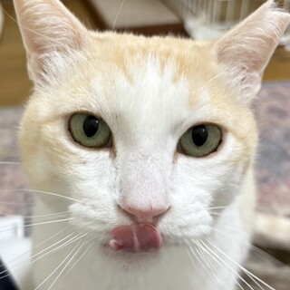 人が大好きスリゴロ甘えん坊イケオジ