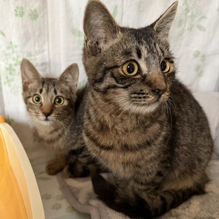 甘えん坊の男の子