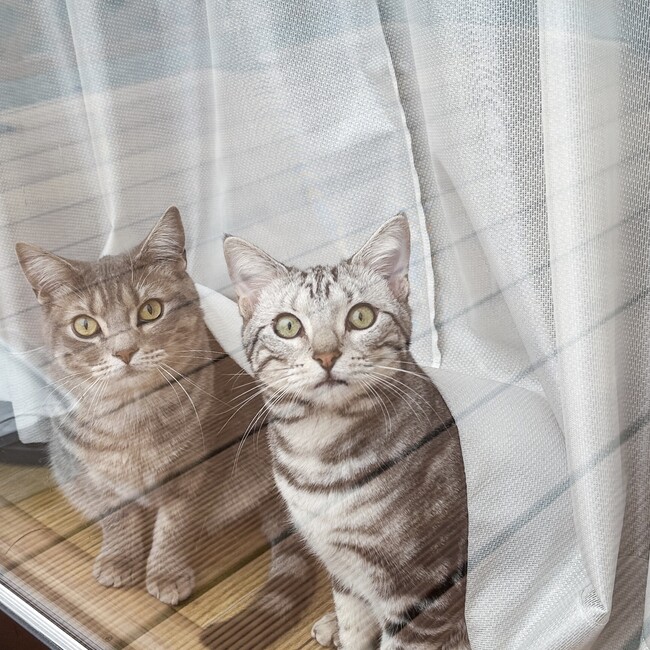 ezk922のカバー写真