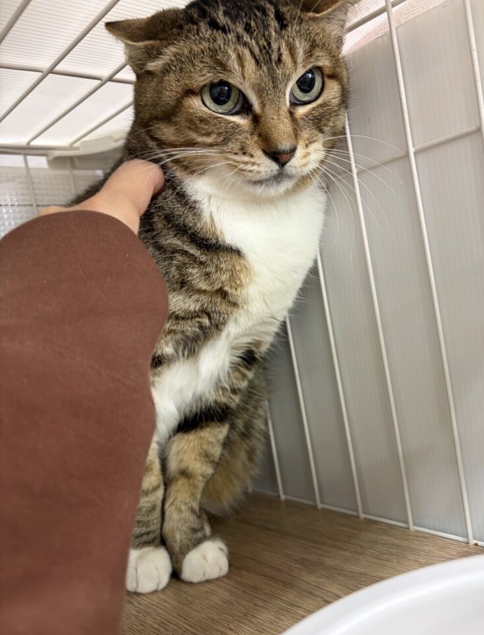 目力強めのおっとりさん⭐︎エリー⭐︎ サムネイル5