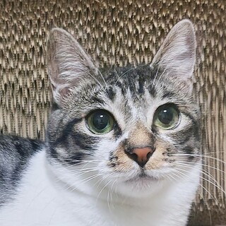 3/8高田馬場★初夏ちゃん★慎重派GIRL