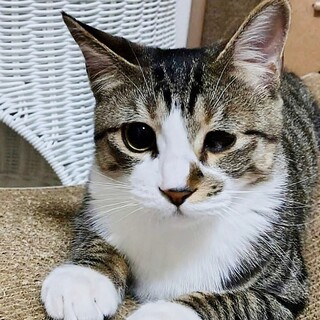 3/8高田馬場★黒豆くん★穏やかBOY