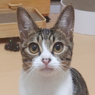 2/23高田馬場★ダヴくん★甘え上手な男の子