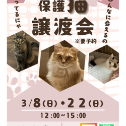 飯能市/保護猫譲渡会