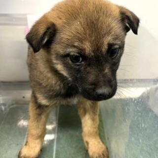 2月25日　朝9時　※時間厳守