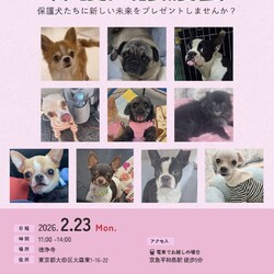 forわんDog譲渡会at徳浄寺