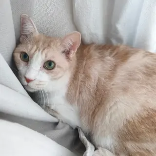 【3/8市ヶ谷】名前を呼ぶと可愛くお返事♪甘えん坊