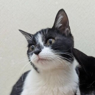 2/23高田馬場★つゆちゃん★小柄で甘々女子