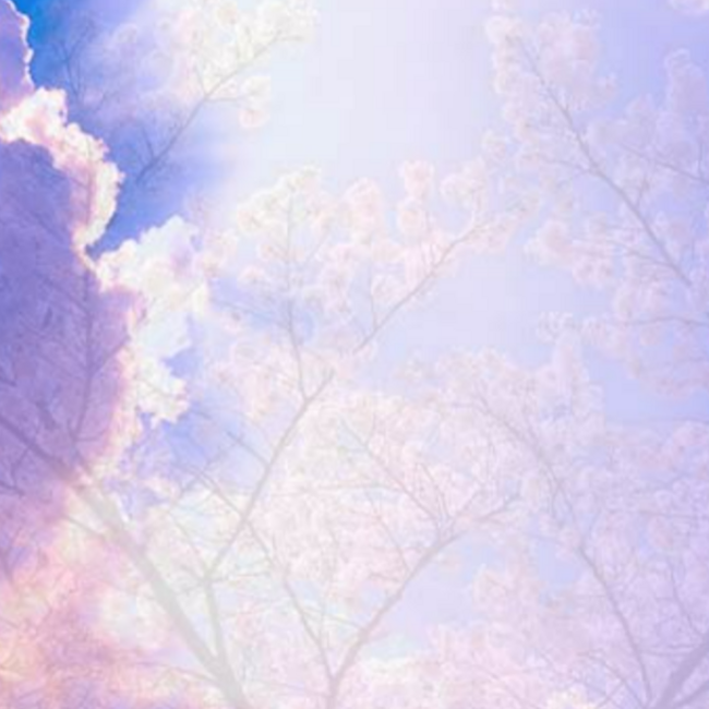 るに猫のカバー写真