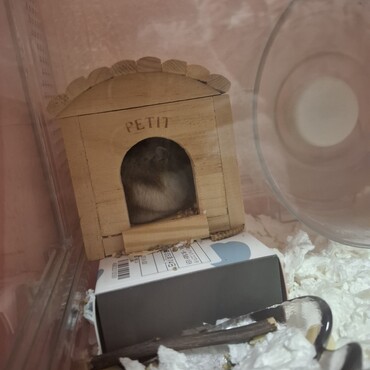 お家がお気に入りかな？