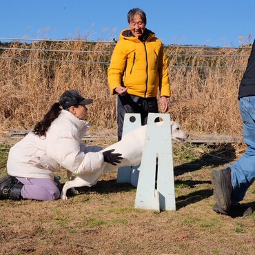 お友達の犬とフライボールトレーニングに参加しています