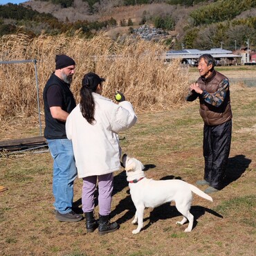 新しいペットとフライボールトレーニングをしたい