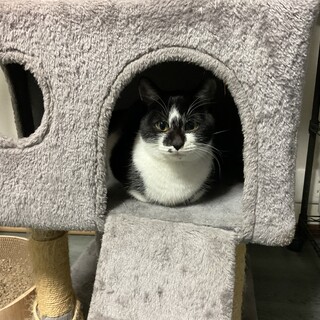 よーく！！見て下さい！！美猫さんです♡