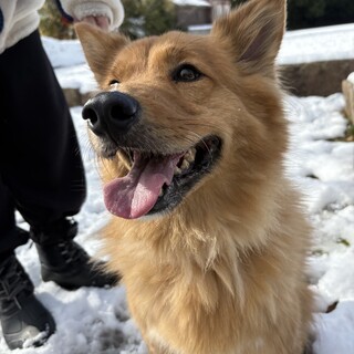 元気いっぱい甘えん坊の男の子