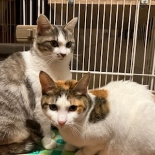 筑紫野市より仲良し親子