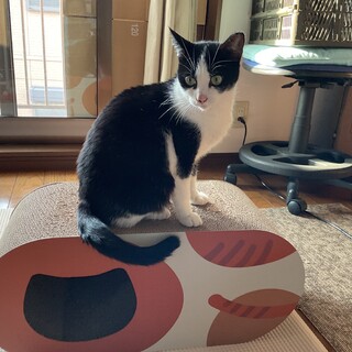 出産経験ありらしいですが、、小柄で可愛いです！！