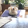 の写真