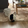 の写真