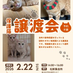 かすがい地域猫の会