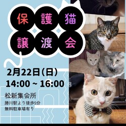 かすがい地域猫の会 サムネイル2
