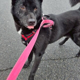 ツキノワグマ!?な【イーニー】くん