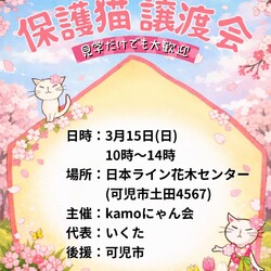保護猫譲渡会in花木センター 20260315