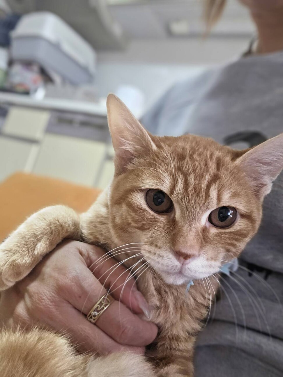 アファくん サムネイル2