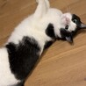 の写真