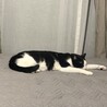 の写真