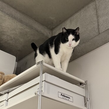 クウちゃんの写真